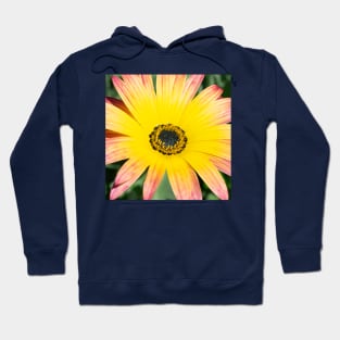 Vibrant Yellow Pink Gerber Daisy Hoodie